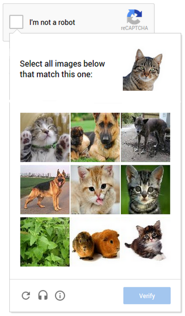 image captcha